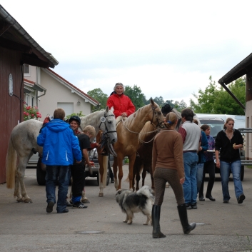 CV-Ponyfarm Geländerallye 2010 - 34