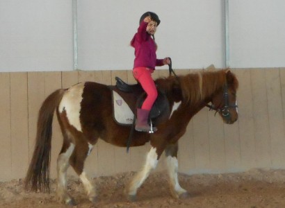 Centered Riding auf der CV Ponyfarm 08