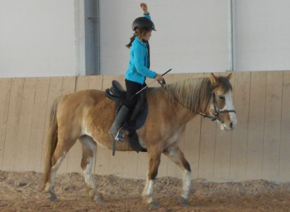 Centered Riding auf der CV Ponyfarm 09