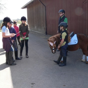 Die Ponys der CV-Ponyfarm auf Schatzsuche April 2011 - 03