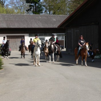Die Ponys der CV-Ponyfarm auf Schatzsuche April 2011 - 04