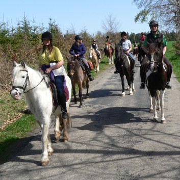 Die Ponys der CV-Ponyfarm auf Schatzsuche April 2011 - 05b