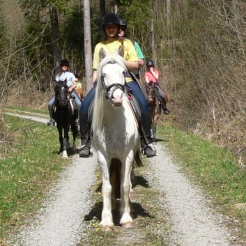 Die Ponys der CV-Ponyfarm auf Schatzsuche April 2011 - 10