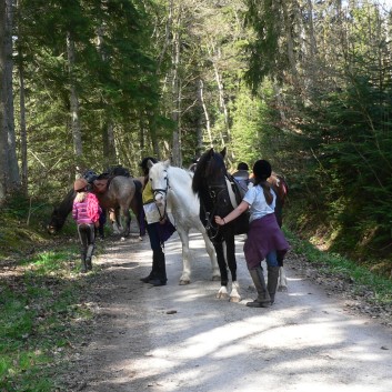 Die Ponys der CV-Ponyfarm auf Schatzsuche April 2011 - 11