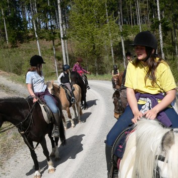 Die Ponys der CV-Ponyfarm auf Schatzsuche April 2011 - 14