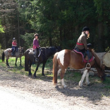 Die Ponys der CV-Ponyfarm auf Schatzsuche April 2011 - 16