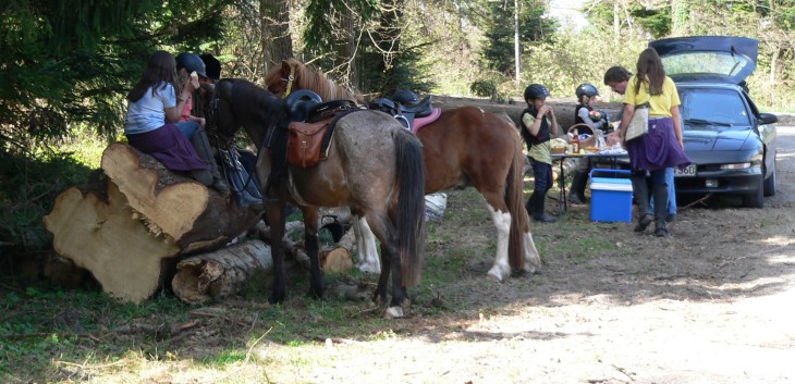 Die Ponys der CV-Ponyfarm auf Schatzsuche April 2011 - 20 Pause