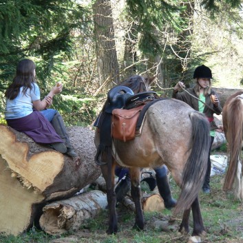 Die Ponys der CV-Ponyfarm auf Schatzsuche April 2011 - 22