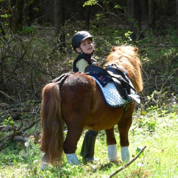 Die Ponys der CV-Ponyfarm auf Schatzsuche April 2011 - 25