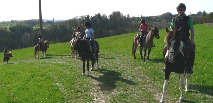 Die Ponys der CV-Ponyfarm auf Schatzsuche April 2011 - 31