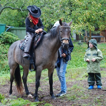 Die Ponys der CV-Ponyfarm in Kleinhoechberg im September 2011 - 02