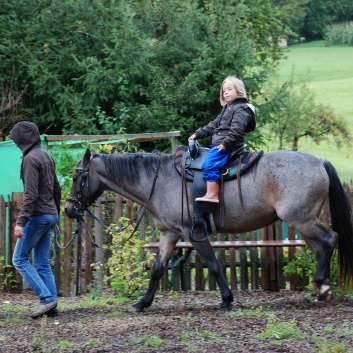 Die Ponys der CV-Ponyfarm in Kleinhoechberg im September 2011 - 03