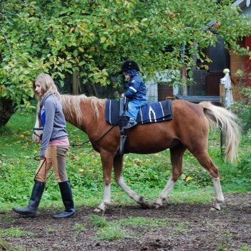 Die Ponys der CV-Ponyfarm in Kleinhoechberg im September 2011 - 05