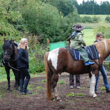 Die Ponys der CV-Ponyfarm in Kleinhoechberg im September 2011 - 11