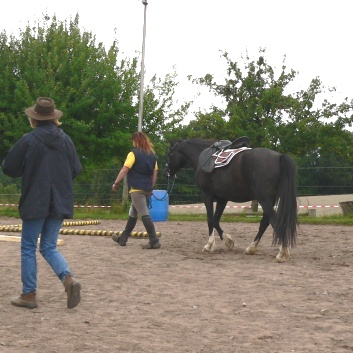 Die Ponys die CV-Ponyfarm in Steinbach 2011-2- 07