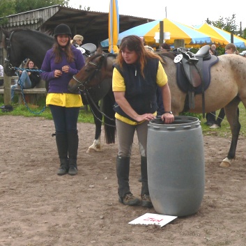 Die Ponys die CV-Ponyfarm in Steinbach 2011-2- 13