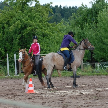 Die Ponys die CV-Ponyfarm in Steinbach 2011-2- 26