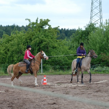 Die Ponys die CV-Ponyfarm in Steinbach 2011-2- 27