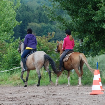 Die Ponys die CV-Ponyfarm in Steinbach 2011-2- 29