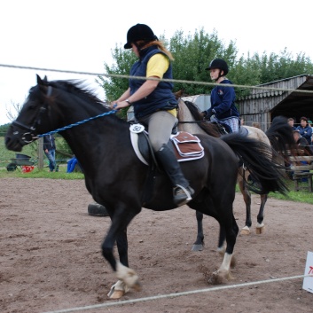 Die Ponys die CV-Ponyfarm in Steinbach 2011-2- 31