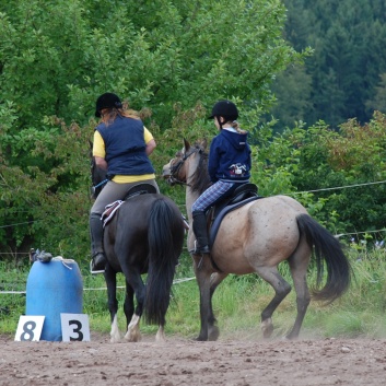 Die Ponys die CV-Ponyfarm in Steinbach 2011-2- 36