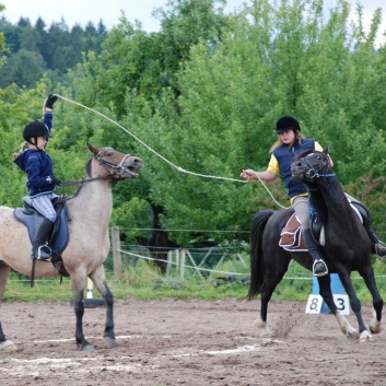 Die Ponys die CV-Ponyfarm in Steinbach 2011-2- 41