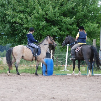 Die Ponys die CV-Ponyfarm in Steinbach 2011-2- 44