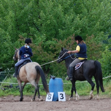 Die Ponys die CV-Ponyfarm in Steinbach 2011-2- 47