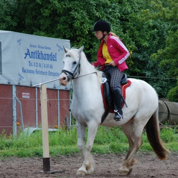 Die Ponys die CV-Ponyfarm in Steinbach 2011-2- 57