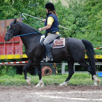Die Ponys die CV-Ponyfarm in Steinbach 2011-2- 60