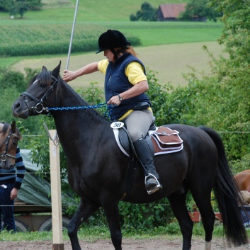 Die Ponys die CV-Ponyfarm in Steinbach 2011-2- 61