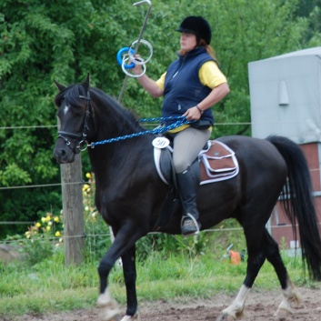 Die Ponys die CV-Ponyfarm in Steinbach 2011-2- 64