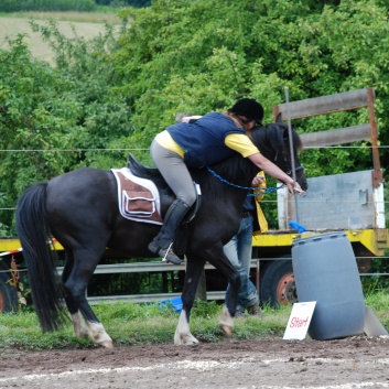 Die Ponys die CV-Ponyfarm in Steinbach 2011-2- 67