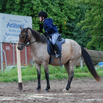 Die Ponys die CV-Ponyfarm in Steinbach 2011-2- 74