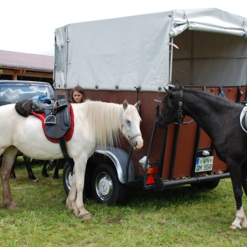 Die Ponys die CV-Ponyfarm in Steinbach 2011 - 01