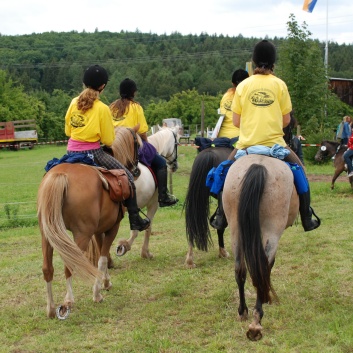 Die Ponys die CV-Ponyfarm in Steinbach 2011 - 05