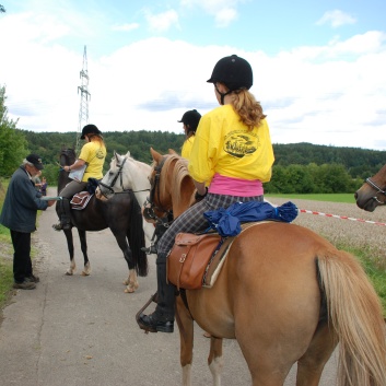 Die Ponys die CV-Ponyfarm in Steinbach 2011 - 06