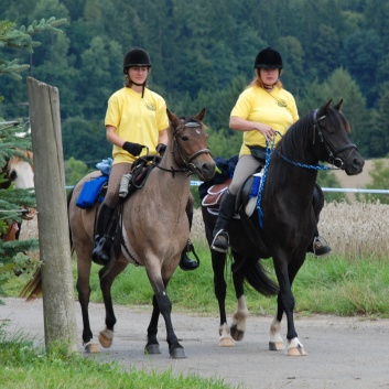 Die Ponys die CV-Ponyfarm in Steinbach 2011 - 07