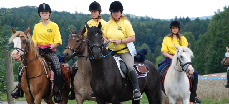 Die Ponys die CV-Ponyfarm in Steinbach 2011 - 08