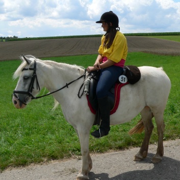 Die Ponys die CV-Ponyfarm in Steinbach 2011 - 11