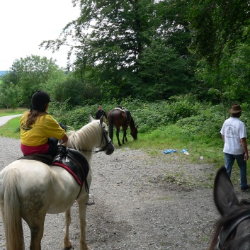 Die Ponys die CV-Ponyfarm in Steinbach 2011 - 13