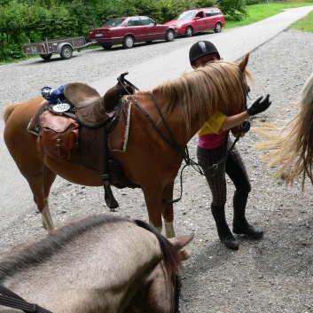 Die Ponys die CV-Ponyfarm in Steinbach 2011 - 14