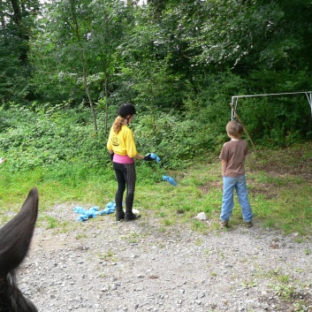 Die Ponys die CV-Ponyfarm in Steinbach 2011 - 17