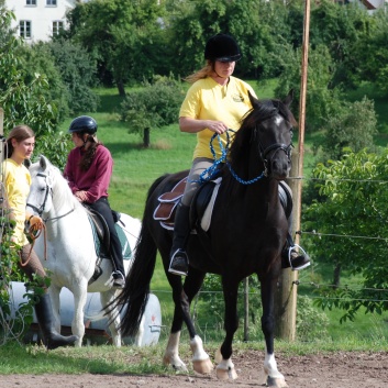 Die Ponys die CV-Ponyfarm in Steinbach 2011 - 20