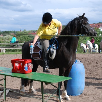 Die Ponys die CV-Ponyfarm in Steinbach 2011 - 23