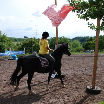 Die Ponys die CV-Ponyfarm in Steinbach 2011 - 25
