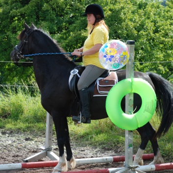 Die Ponys die CV-Ponyfarm in Steinbach 2011 - 29