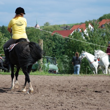 Die Ponys die CV-Ponyfarm in Steinbach 2011 - 33