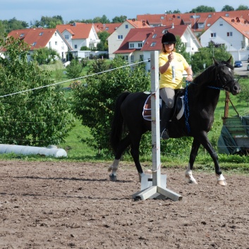 Die Ponys die CV-Ponyfarm in Steinbach 2011 - 35