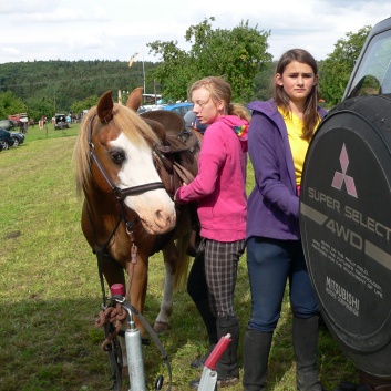 Die Ponys die CV-Ponyfarm in Steinbach 2011 - 39